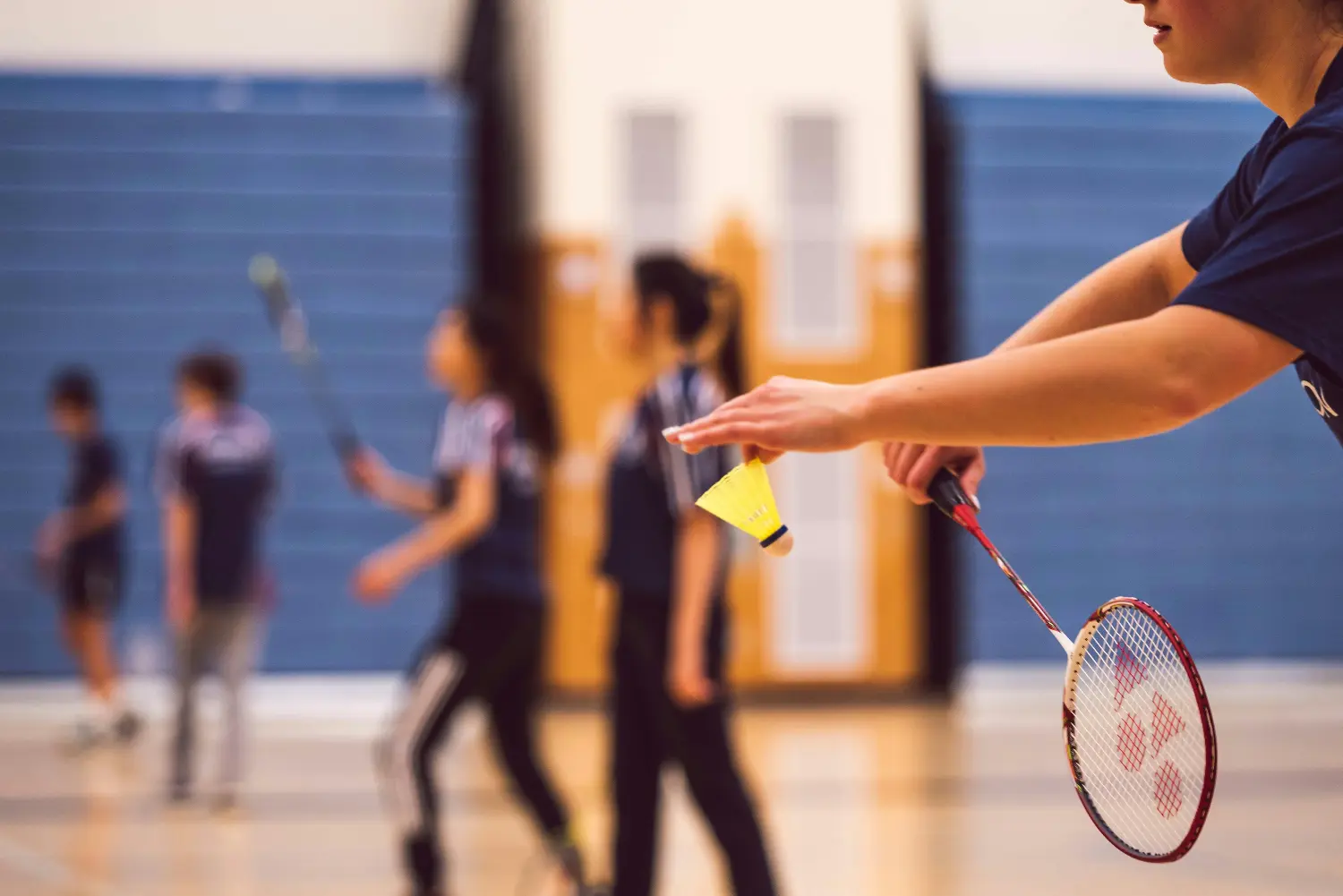 Close-up image of a badminton racket and a shuttlecock.