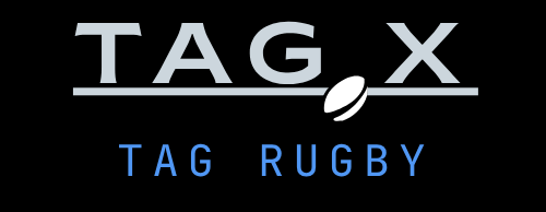 Tag X logo (Takes user to home page when clicked)